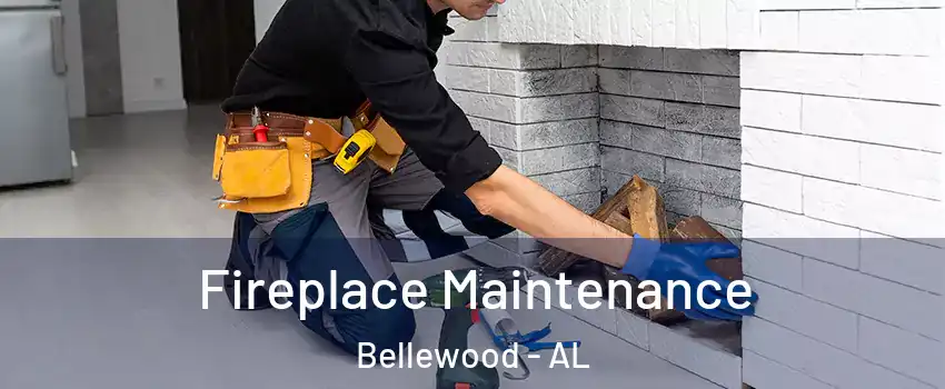 Fireplace Maintenance Bellewood - AL