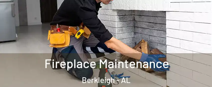 Fireplace Maintenance Berkleigh - AL