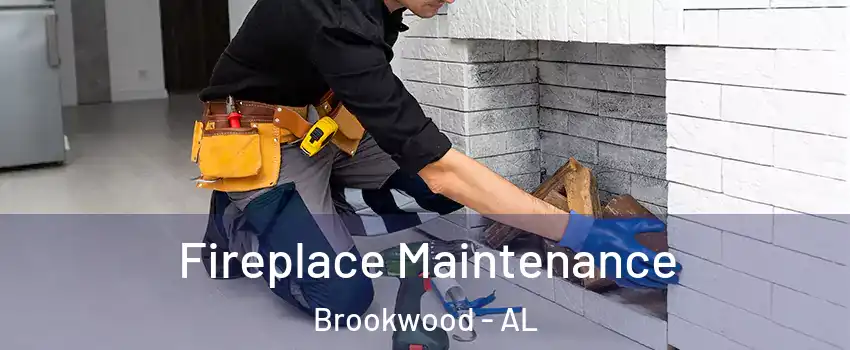 Fireplace Maintenance Brookwood - AL