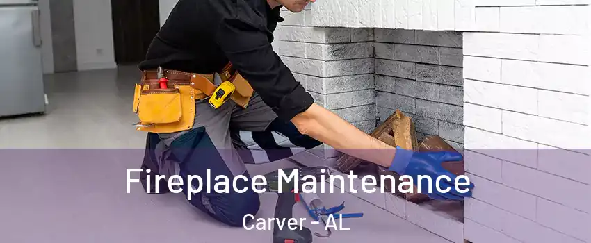 Fireplace Maintenance Carver - AL
