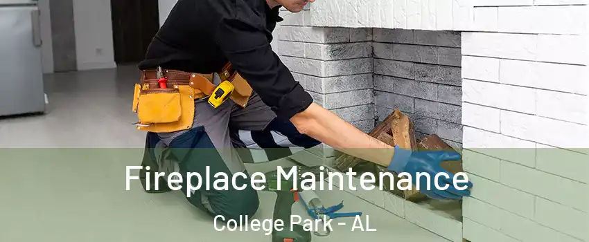 Fireplace Maintenance College Park - AL