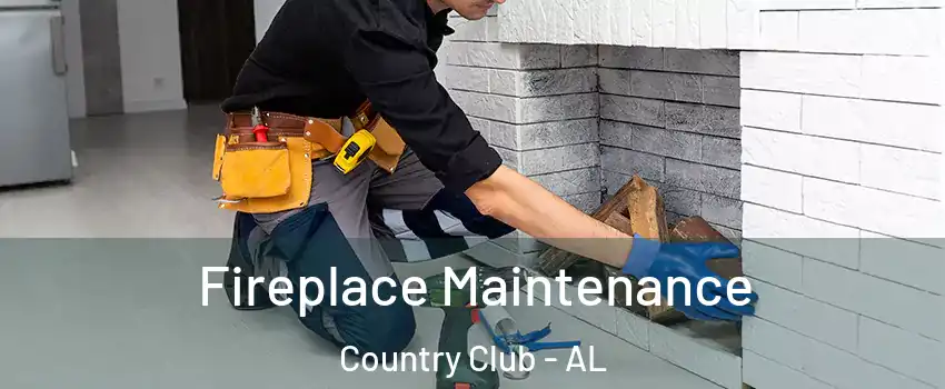 Fireplace Maintenance Country Club - AL