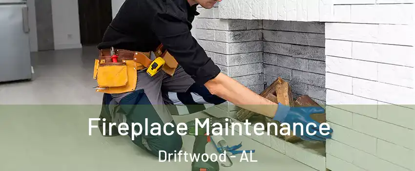 Fireplace Maintenance Driftwood - AL