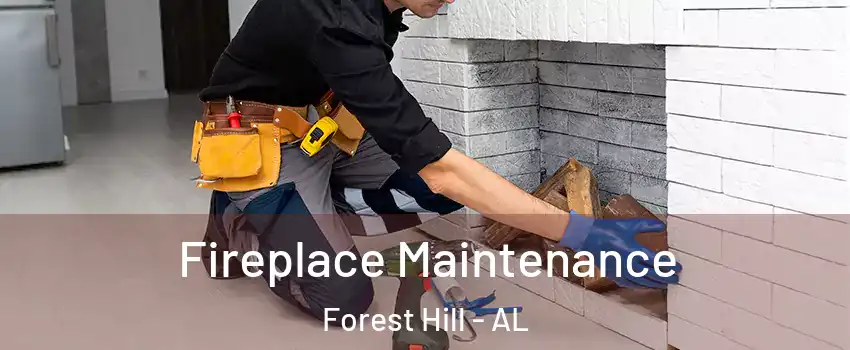 Fireplace Maintenance Forest Hill - AL