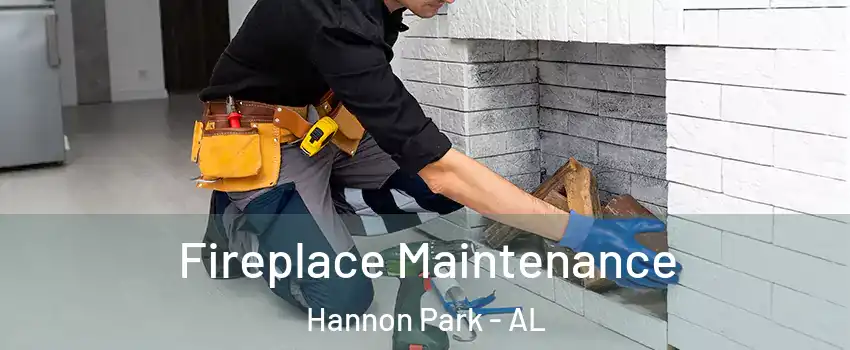 Fireplace Maintenance Hannon Park - AL