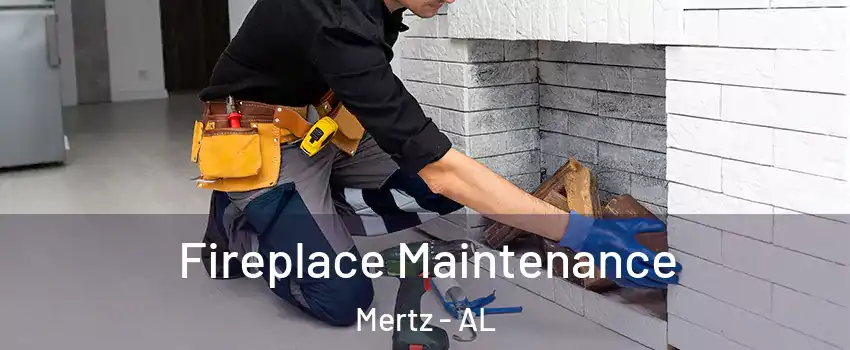 Fireplace Maintenance Mertz - AL
