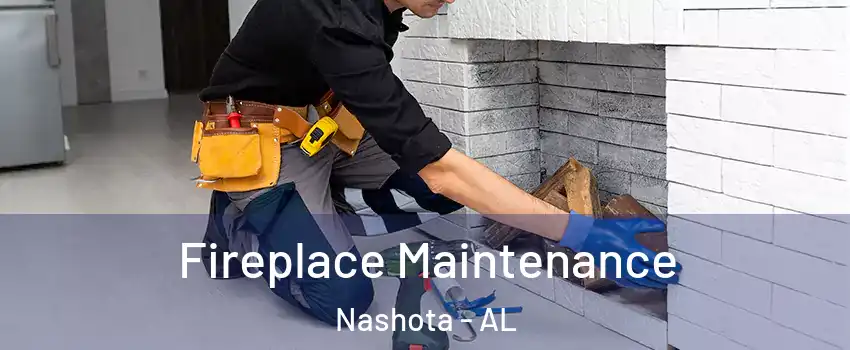 Fireplace Maintenance Nashota - AL