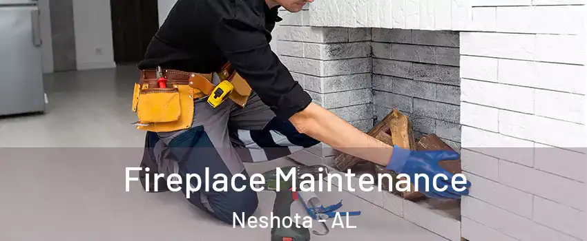 Fireplace Maintenance Neshota - AL
