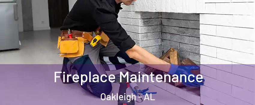 Fireplace Maintenance Oakleigh - AL