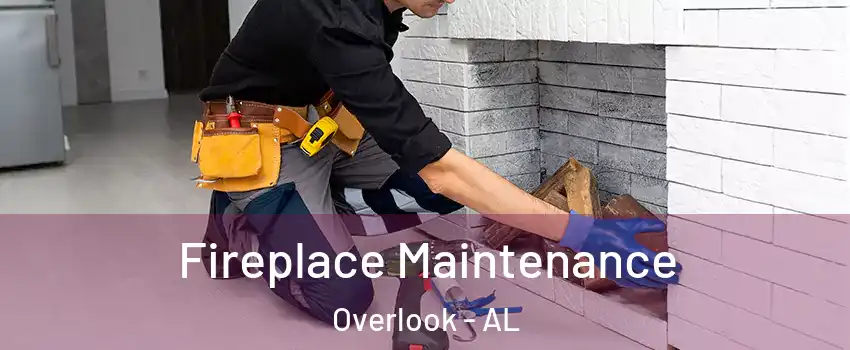 Fireplace Maintenance Overlook - AL