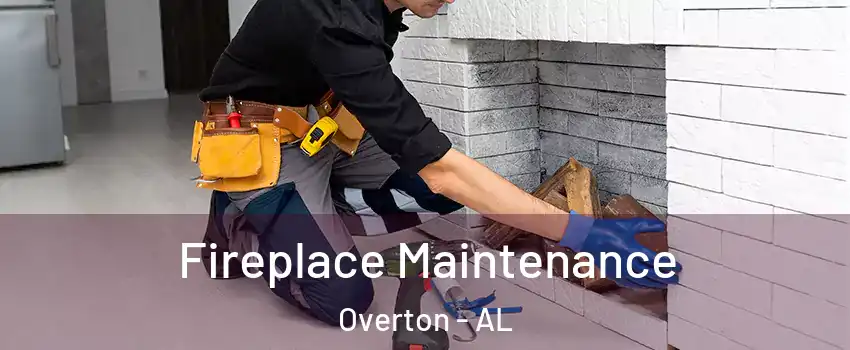 Fireplace Maintenance Overton - AL