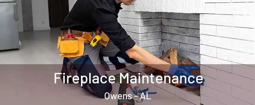 Fireplace Maintenance Owens - AL