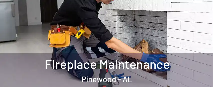 Fireplace Maintenance Pinewood - AL