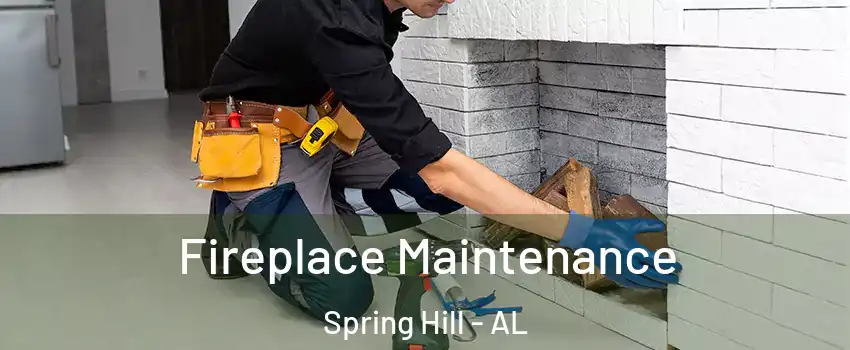Fireplace Maintenance Spring Hill - AL