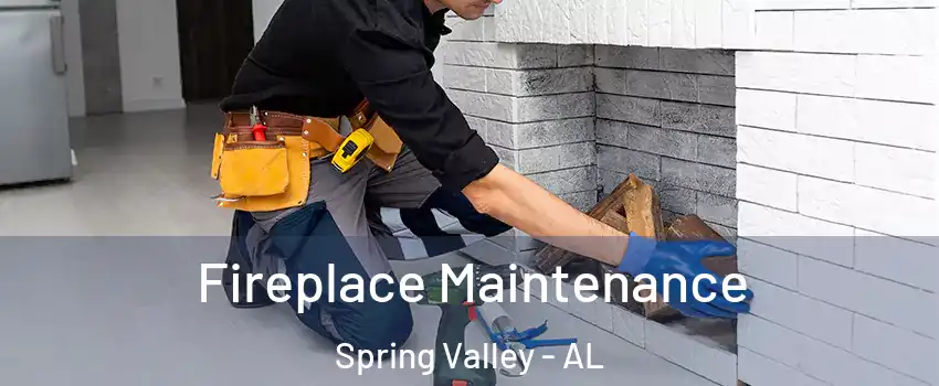 Fireplace Maintenance Spring Valley - AL