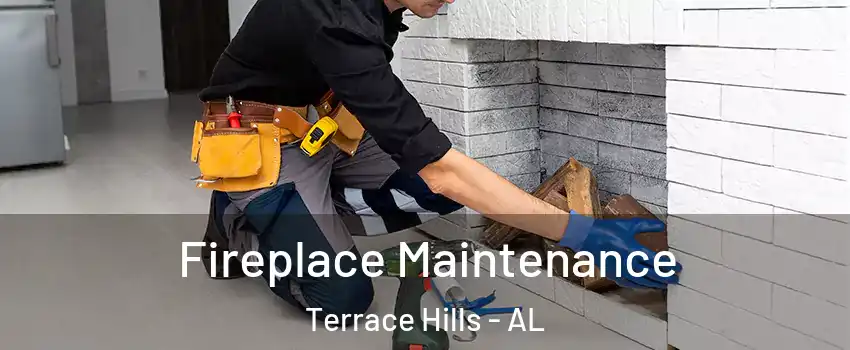 Fireplace Maintenance Terrace Hills - AL