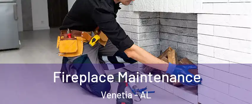Fireplace Maintenance Venetia - AL