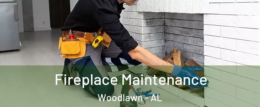 Fireplace Maintenance Woodlawn - AL