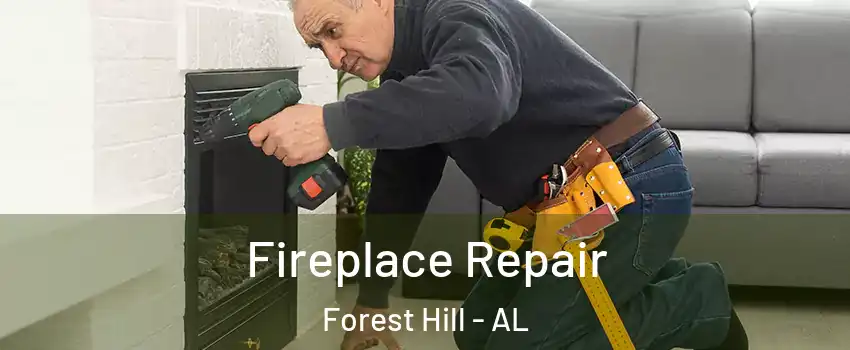 Fireplace Repair Forest Hill - AL