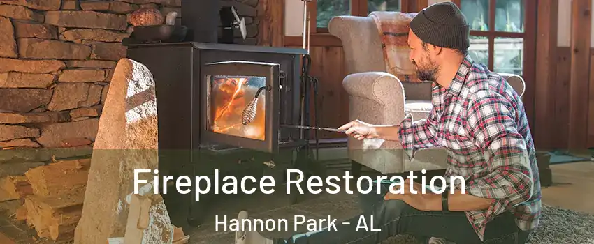 Fireplace Restoration Hannon Park - AL