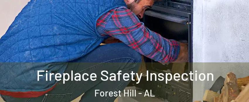 Fireplace Safety Inspection Forest Hill - AL