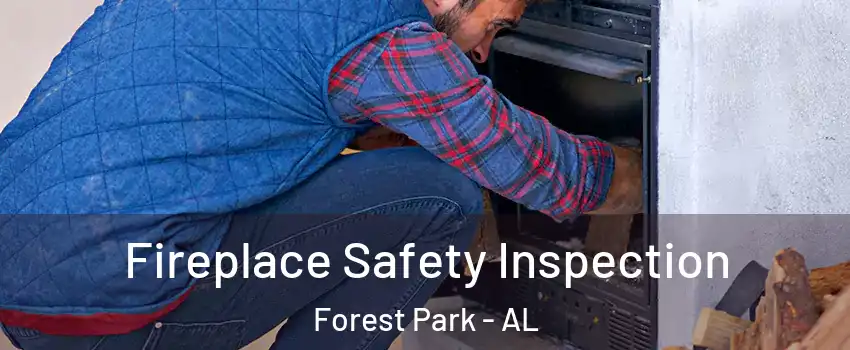 Fireplace Safety Inspection Forest Park - AL