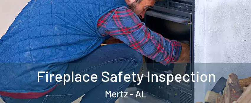 Fireplace Safety Inspection Mertz - AL