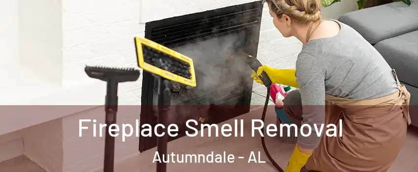 Fireplace Smell Removal Autumndale - AL