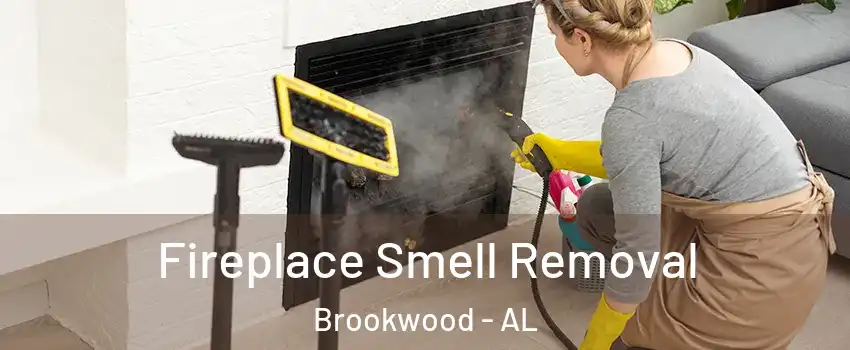 Fireplace Smell Removal Brookwood - AL