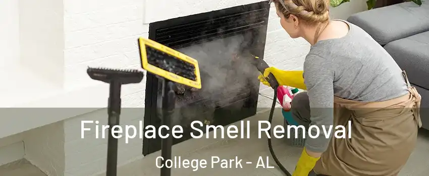 Fireplace Smell Removal College Park - AL