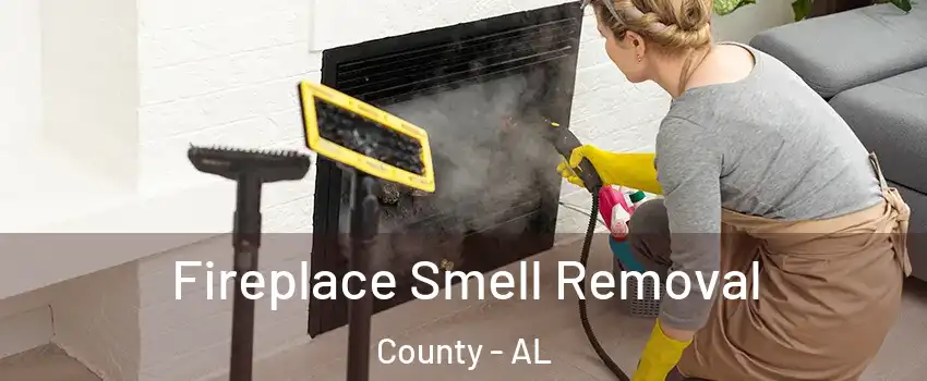 Fireplace Smell Removal County - AL