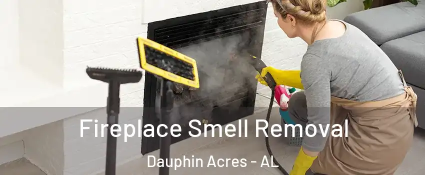Fireplace Smell Removal Dauphin Acres - AL