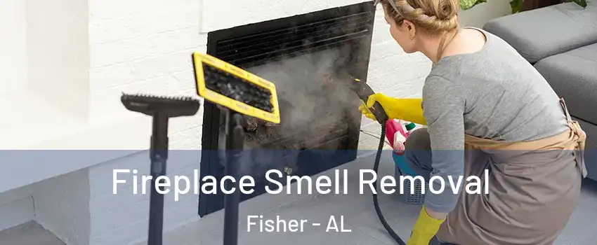 Fireplace Smell Removal Fisher - AL