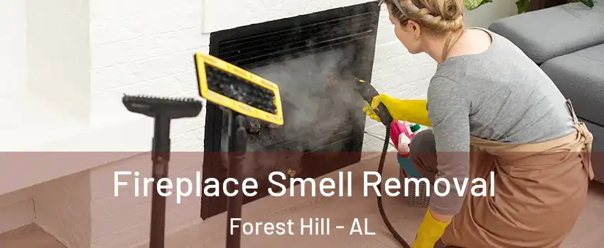 Fireplace Smell Removal Forest Hill - AL