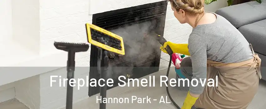 Fireplace Smell Removal Hannon Park - AL