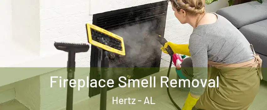 Fireplace Smell Removal Hertz - AL