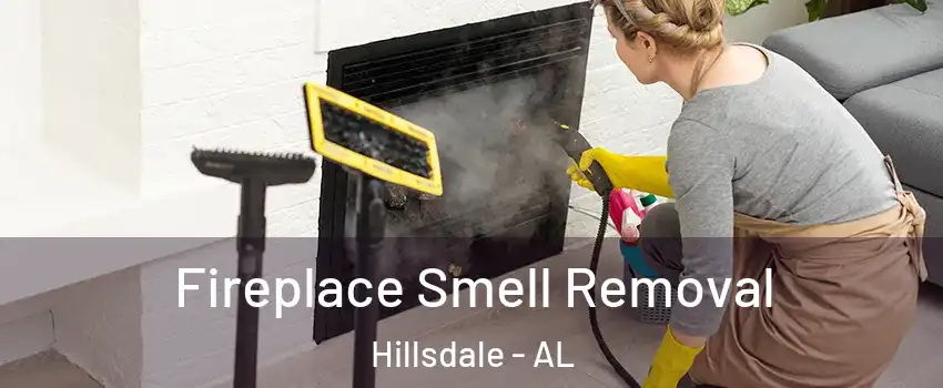 Fireplace Smell Removal Hillsdale - AL