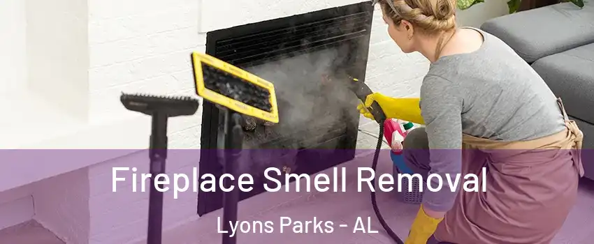 Fireplace Smell Removal Lyons Parks - AL