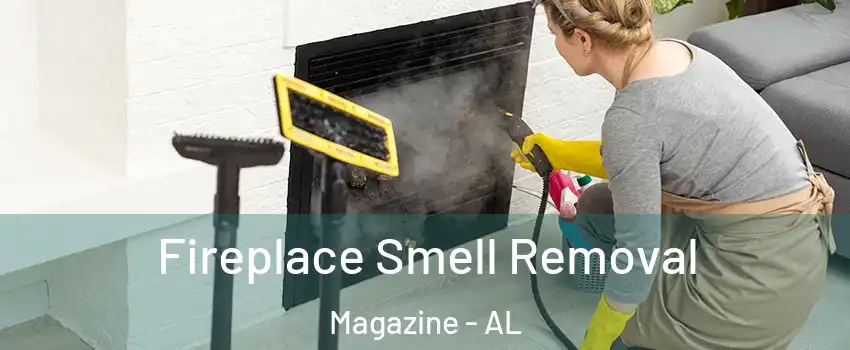 Fireplace Smell Removal Magazine - AL