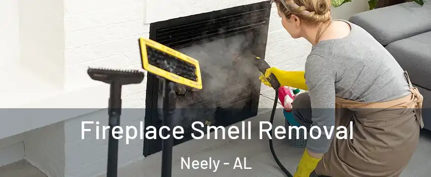 Fireplace Smell Removal Neely - AL