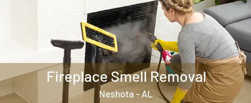 Fireplace Smell Removal Neshota - AL