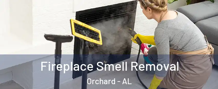 Fireplace Smell Removal Orchard - AL
