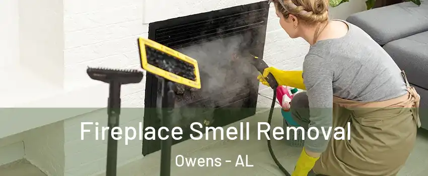 Fireplace Smell Removal Owens - AL