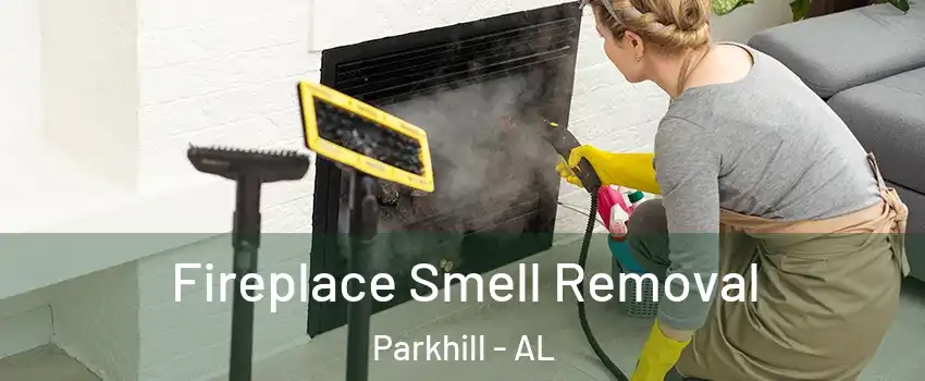 Fireplace Smell Removal Parkhill - AL