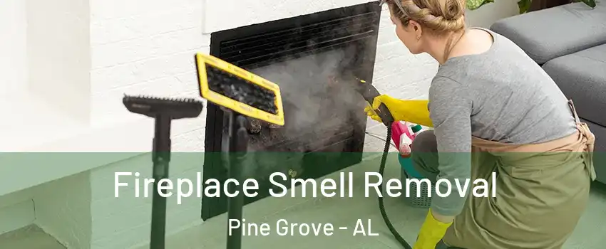 Fireplace Smell Removal Pine Grove - AL