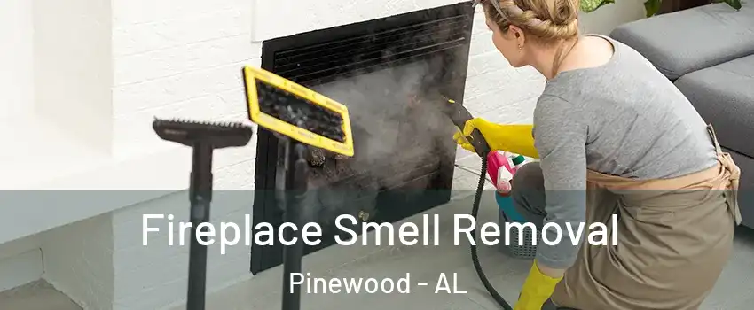 Fireplace Smell Removal Pinewood - AL