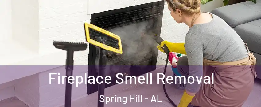 Fireplace Smell Removal Spring Hill - AL