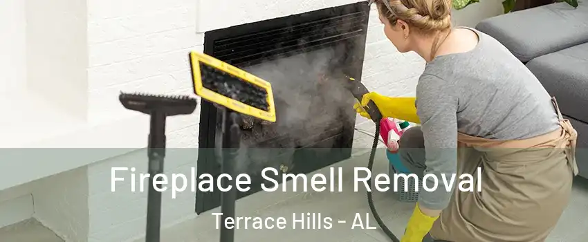 Fireplace Smell Removal Terrace Hills - AL