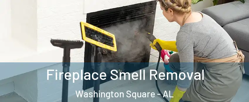 Fireplace Smell Removal Washington Square - AL