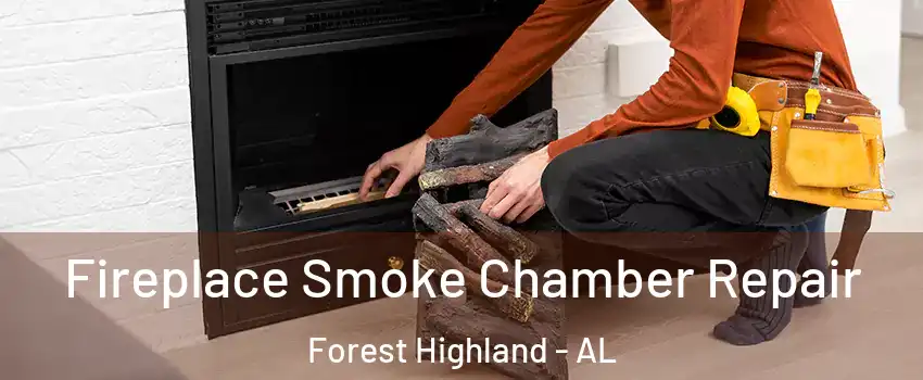 Fireplace Smoke Chamber Repair Forest Highland - AL